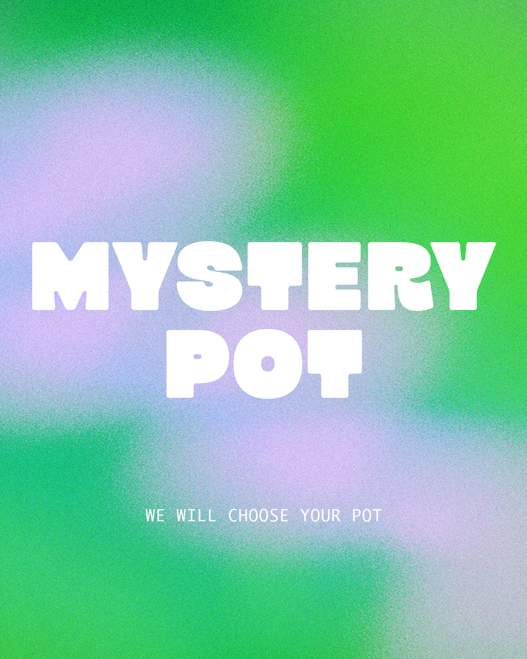 Mystery Pot